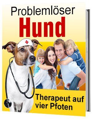 Problemberatung durch Gilliar Consult | Problemlöser Hund