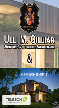 Giulli_com_Reader_Cover